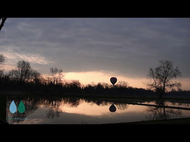 Alba e Mongolfiera sul Vivaio Hydrophyllum