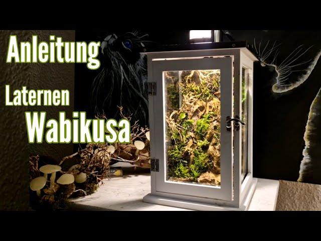 Laternen Wabikusa schön & dekorativ für Zuhause/ Gestaltung & Bepflanzung