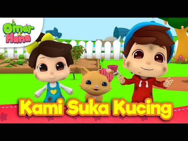 Lagu Kanak-Kanak Islam | Kami Suka Kucing | Omar & Hana