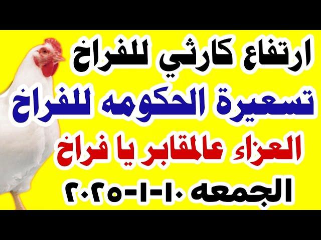 اسعار الفراخ اليوم/ سعر الفراخ البيضاء اليوم الجمعه 10-2025 في مصر جمله وقطاعي