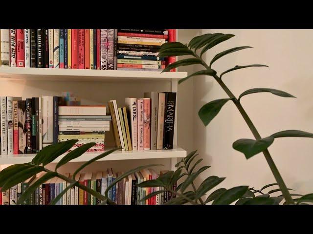 ASMR Bookshelf Tour  2025