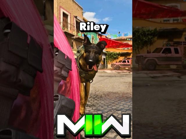 MW2 - Riley Finishing Moves  (SYD Tactical Pet)