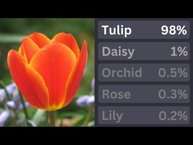I made my own AI Image Detector! (And made it detect different flowers)