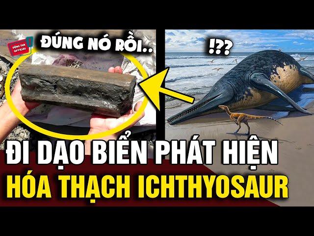 Đi dạo bên BỜ BIỂN, bé gái 11 tuổi phát hiện HÓA THẠCH của loài bò sát biển ICHTHYOSAUR | Động Tiin