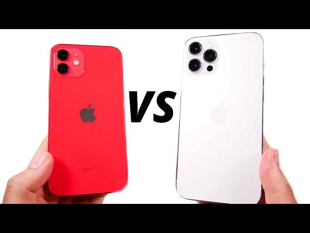 iPhone 12 vs iPhone 12 Pro Max - Which is Better?