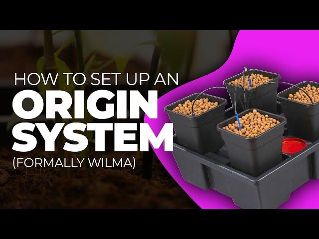 How to Set Up an Origin System (In Under 2 Minutes)