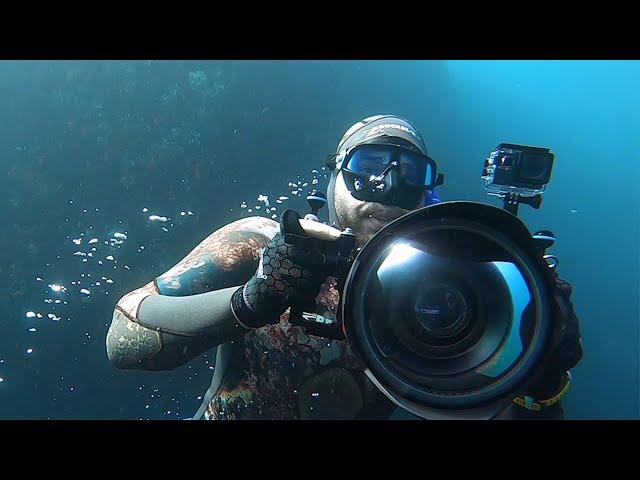 $10,000 Camera VS $100 Camera, Comparison Underwater. How much do you need to spend?