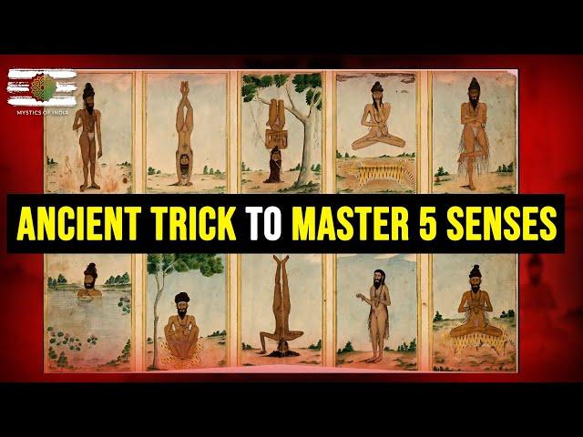 Pratyahara - Patanjali's Secret To Master The Five Senses