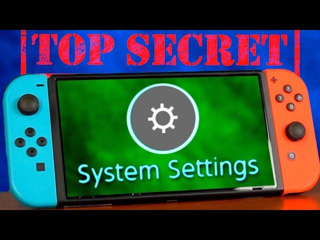 TOP SECRET Things to Try on Your Switch! - SECRET Nintendo Switch Features & Settings! 🫢 | ChaseYama