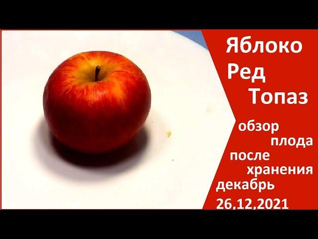 Яблоко Ред топаз обзор плода после хранения 26,12,2021