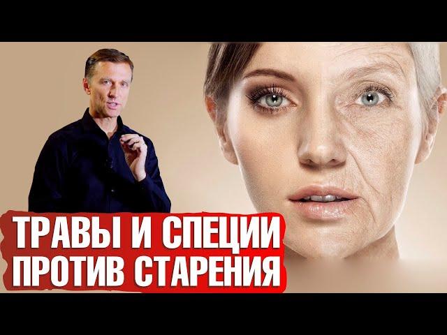 Как замедлить старение? Травы и специи для омоложения‍️