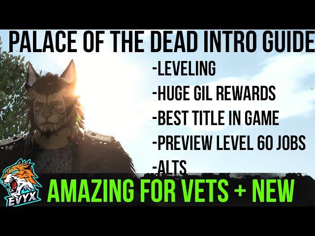 Palace of The Dead (POTD) Guide! | YOU SHOULD TRY IT!