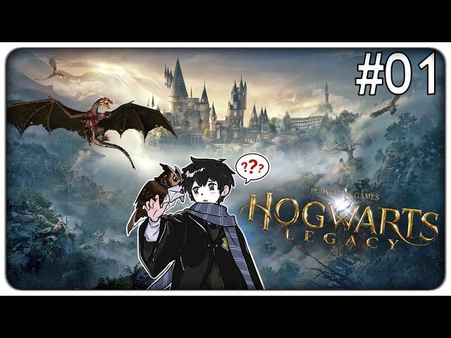 VOLEVO DIVENTARE UN MAGO MA UN DRAGO HA PROVATO A MANGIARMI | Hogwarts Legacy - ep.01