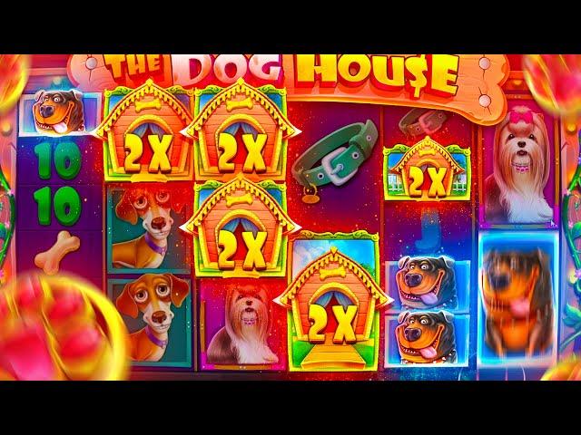 PERFECT DOG HOUSE MEGAWAYS BONUS... (INSANE SETUP)