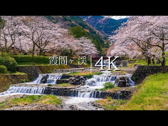 [Gifu's Togenkyo] Visit Kasumaga Gorge and Otsu Valley - JAPAN in 4K