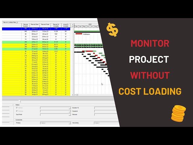 Monitor the project without cost or Resource loading