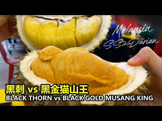 Black thorn vs Black Gold Durian, Malaysia SS2 Durian market ! 黑刺vs黑金猫山王榴莲，马来西亚SS2榴莲市场