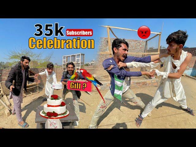 35k Celebration Par Larai Ho Gai  Macaw Parrots Ke Babies Gift Mile ? Chachu Ko Vlog Se Nikaal Dea