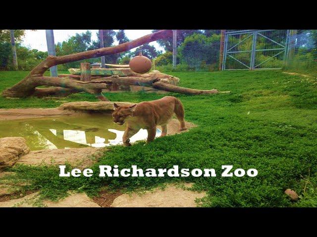 Lee Richardson Zoo – Garden City, KS: Wandering Walks of Wonder Slow TV Walking Tour 4K