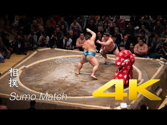 Sumo Match - Tokyo - 相撲