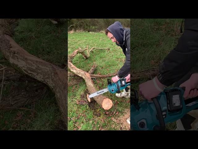 Which Chainsaw? Makita 36v or Stihl Petrol ??