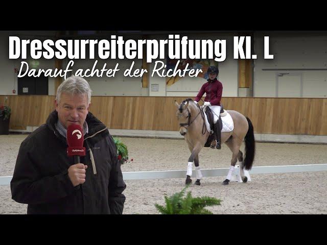 Lia & Alfi reiten die RL2 (Aufgabenheft 2018) | Welche Note bekommen sie und warum?