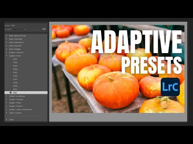 Lightroom Adaptive Presets