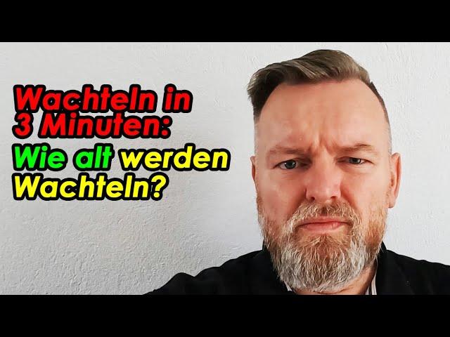 Wie lange lebt eine Wachtel? #Wachtelnin3Minuten erklärt von der Wachtelfarm Hettstedt