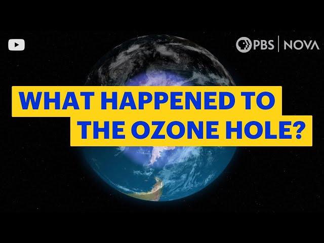 What Happened to the Hole in the Ozone Layer? | NOVA | PBS