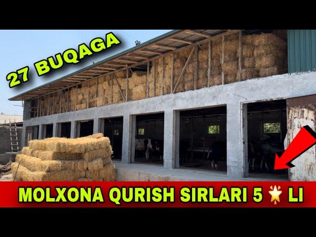 MOLXONA QURISH SIRLARI  27 TA BUQAGA MO’LJANLANGAN⭐️⭐️⭐️⭐️