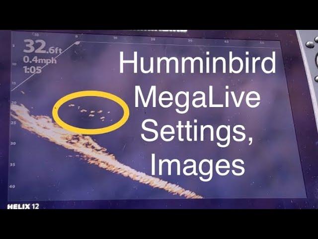Humminbird MegaLive Settings and Images