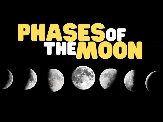 Phases of the Moon | Learn all about the moon for kids!