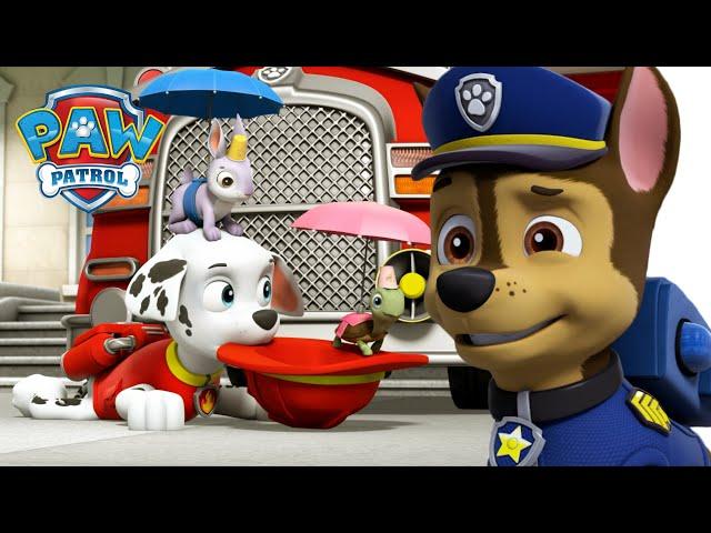 Pups save the Mini Patrol and the Chalk Art Mural! - PAW Patrol Episode - Cartoons for Kids