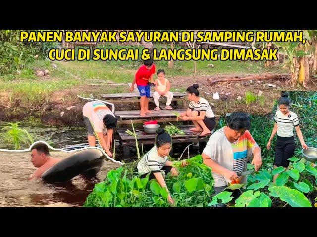 SUAMI & ADIK IPAR MANDI DI SUNGAI, SERUNYA PANEN SAYUR DI HALAMAN RUMAH KAMI