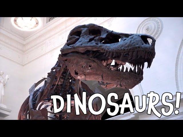 Dinosaurs! Fun Dino Facts for Toddlers and Preschoolers