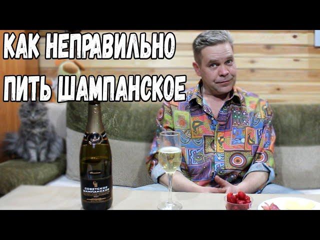 8 Марта. Как неправильно пить шампанское