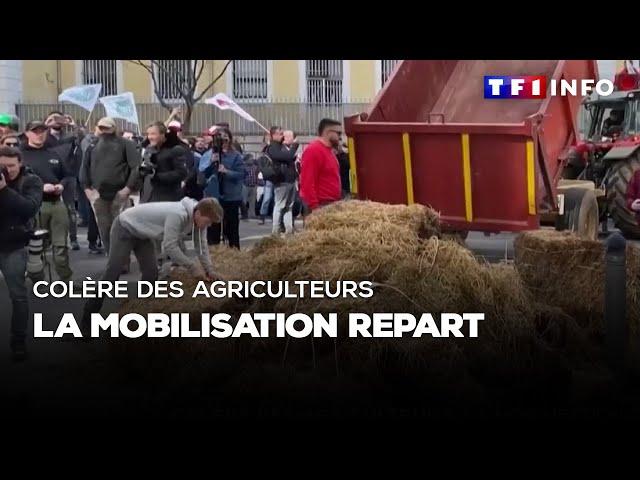 Colère des agriculteurs : la mobilisation repart