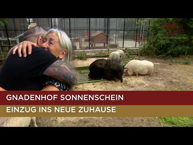 Die "Harten Hunde" rühren Hofleiterin zu Tränen  | Harte Hunde