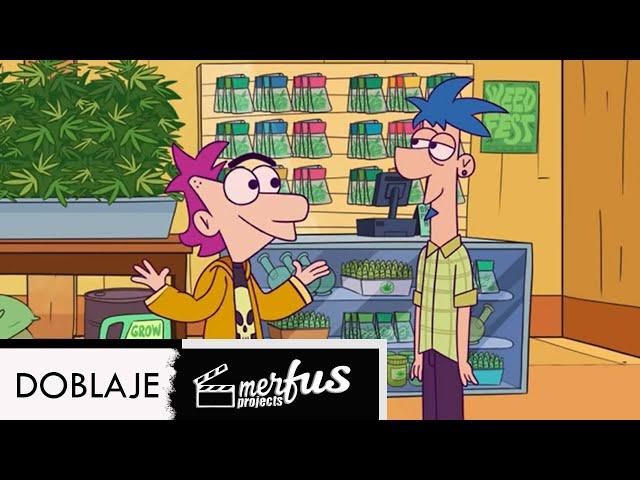 PHINEAS AND FERB ARE DRUG LORDS - FANDUB LATINO - SPANISH DUB