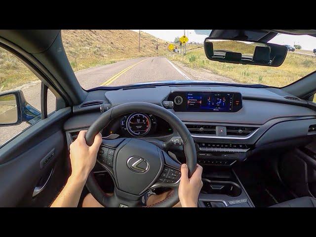 2022 Lexus UX200 F-Sport - POV Test Drive (Binaural Audio)