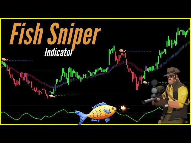 Fish Sniper + SSL Hybrid + QQE MOD Buy Sell TradingView Indicators For 2024