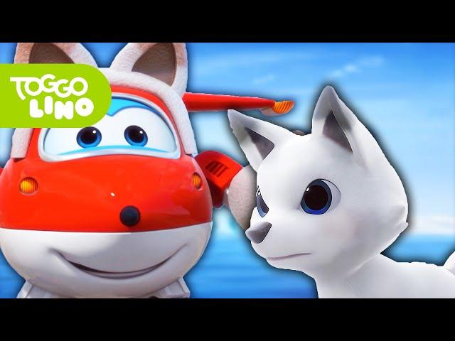 Super Wings | Polarfuchs-Expedition | Ganze Folge | Toggolino Serien