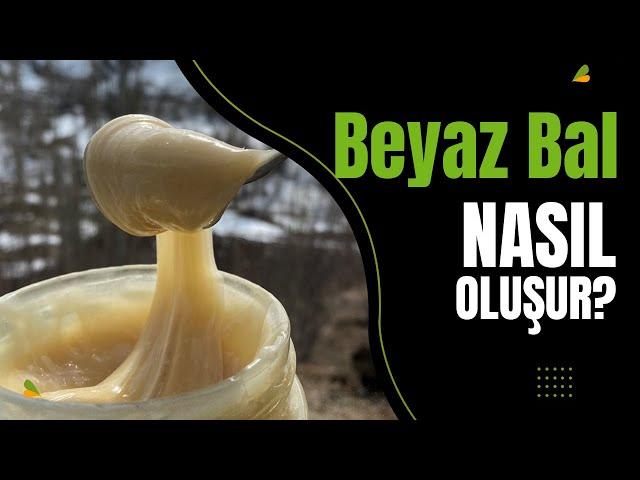 Beyaz Bal Nedir? #beyazbal