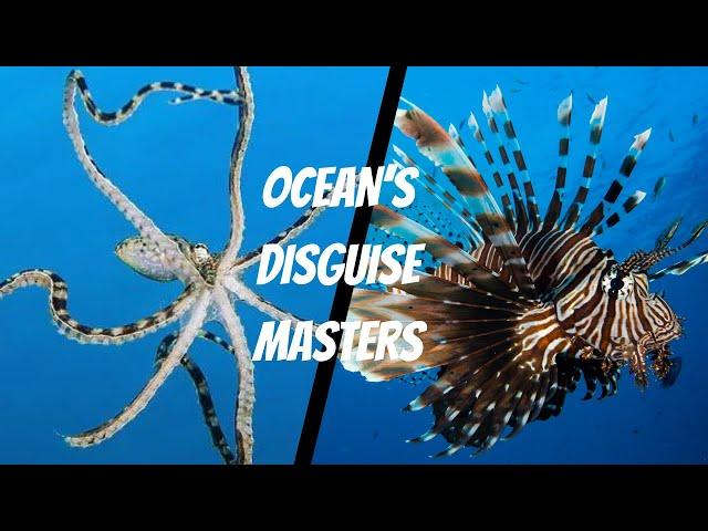 Masters of Disguise: Secrets of the Deep Sea