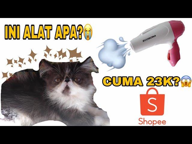 Cara Memandikan Kucing (Grooming Kucing) + Review (TRY ON) Hair Dryer 23K SHOPEE!!!!