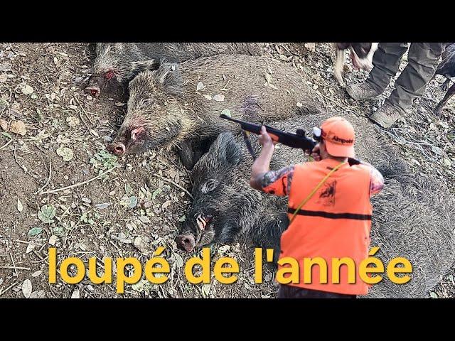 Chasse aux sangliers en Corse à Tox 129