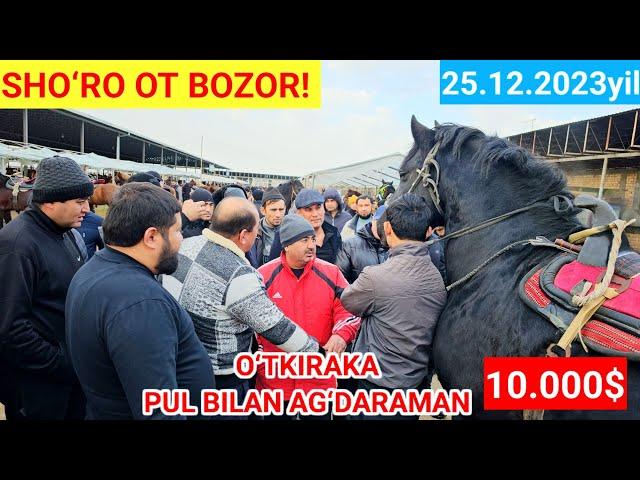 TOSHKENT SHO‘RO OT BOZOR! BUGUN BOZORGA DAXSHAT OTLAR TUSHDI 25.000$ ARAB OTLAR KELDI! Likebosamiz