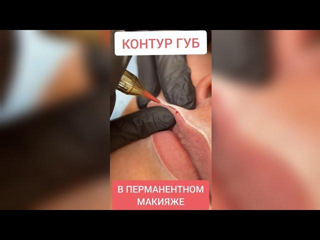 Как делать контур губ в перманентном макияже? #shorts