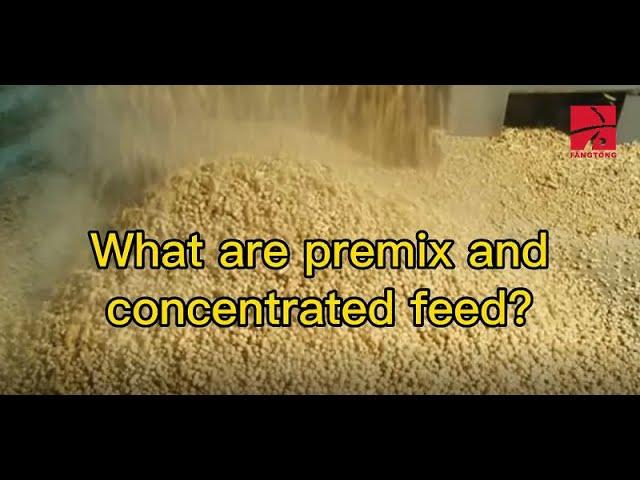 What are premix and concentrated feed?