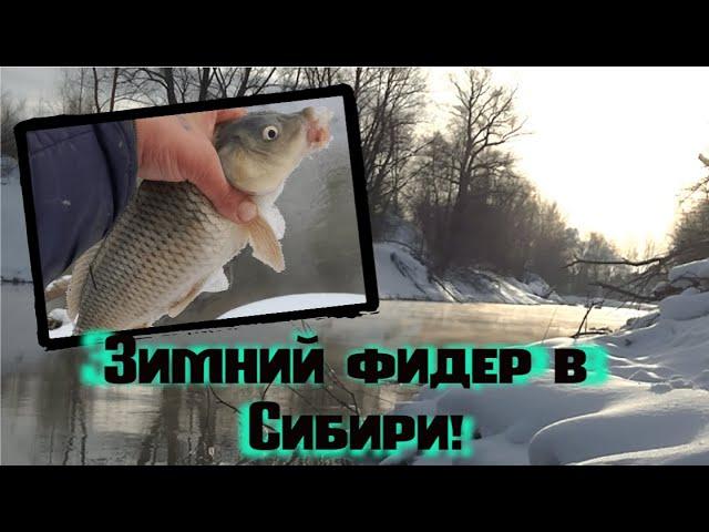 Зимний фидер в Сибири! Рыбалка на фидер. Feeder fishing in Siberia.